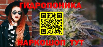 гашик Заволжье